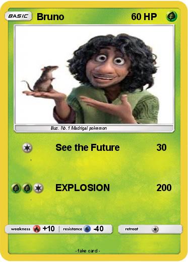 Pokemon Bruno