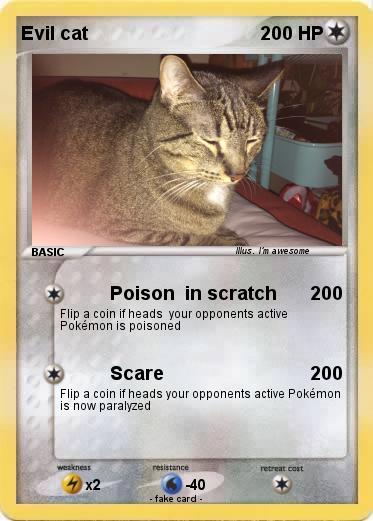 Pokemon Evil cat