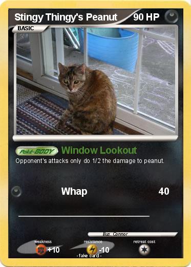 Pokemon Stingy Thingy's Peanut