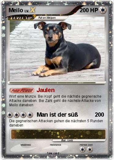 Pokemon Meilo