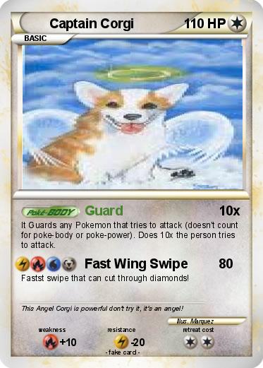 Pokemon Captain Corgi