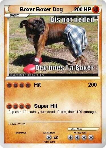 Pokemon Boxer Boxer Dog
