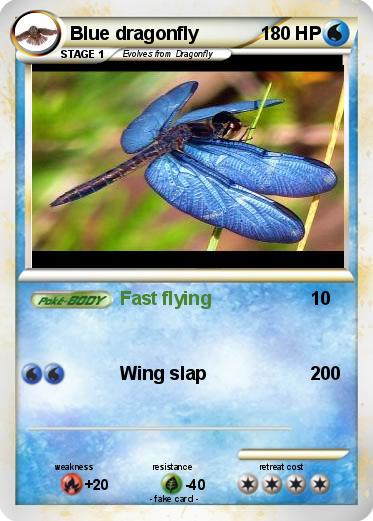 Pokemon Blue dragonfly