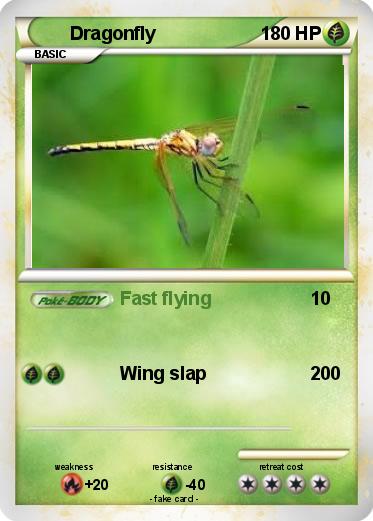 Pokemon Dragonfly