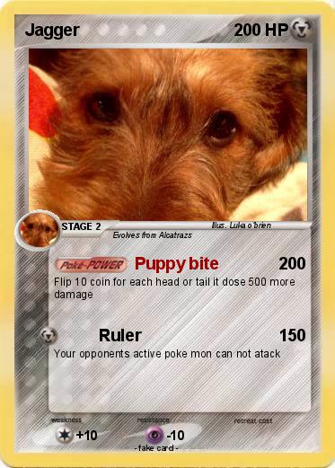 Pokemon Jagger