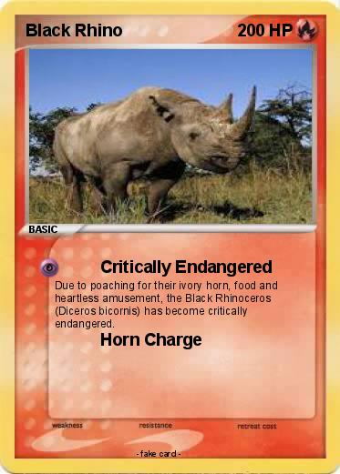 Pokemon Black Rhino