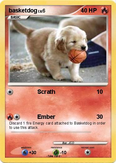 Pokemon basketdog