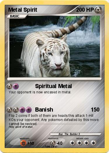 Pokemon Metal Spirit