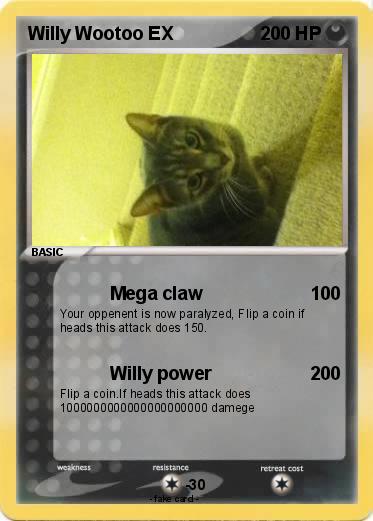 Pokemon Willy Wootoo EX