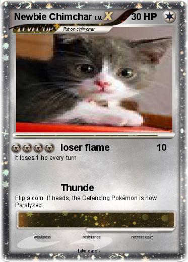 Pokemon Newbie Chimchar