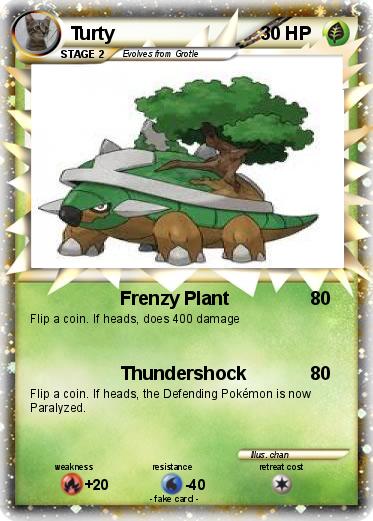 Pokemon Turty