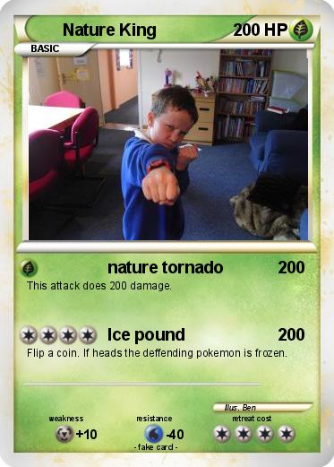 Pokemon Nature King