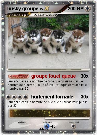 Pokemon husky groupe