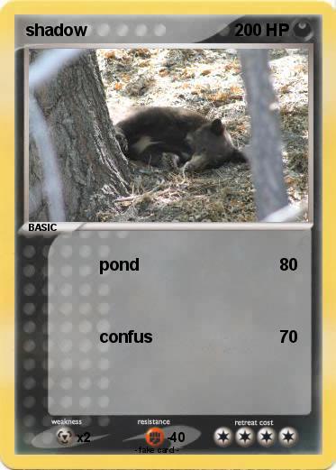 Pokemon shadow