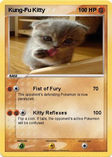 Pokemon Kung-Fu Kitty
