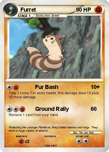Pokemon Furret