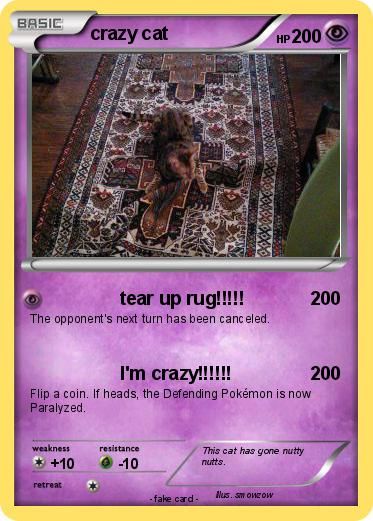 Pokemon crazy cat