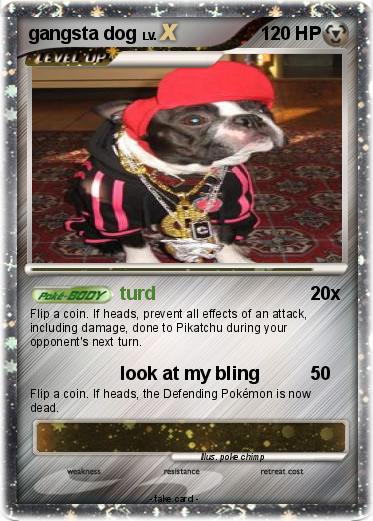 Pokemon gangsta dog