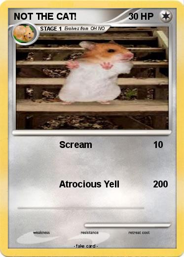 Pokemon NOT THE CAT!