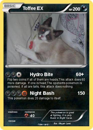 Pokemon Toffee EX