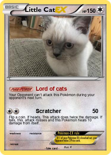 Pokemon Little Cat