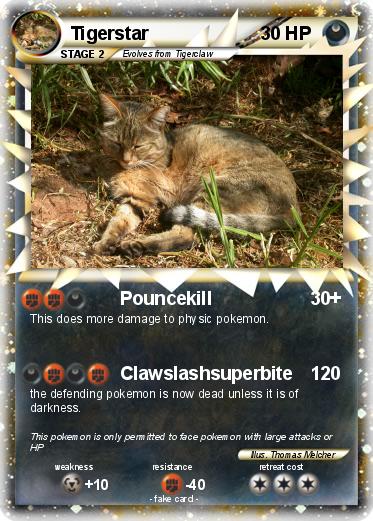 Pokemon Tigerstar