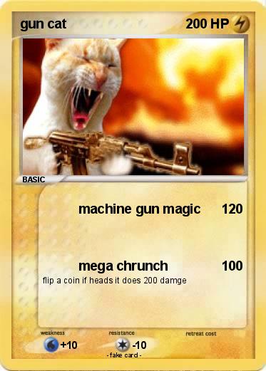 Pokemon gun cat