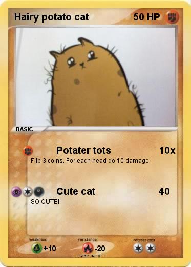 Pokemon Hairy potato cat