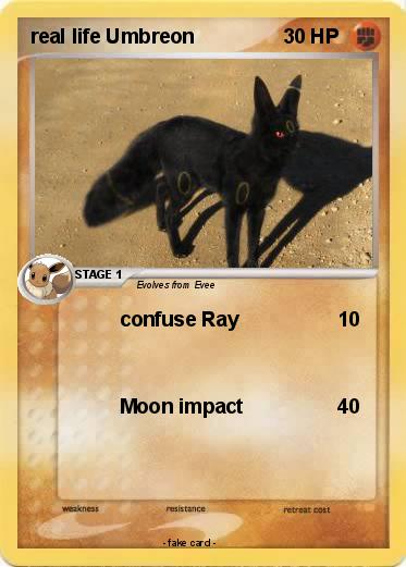 Pokemon real life Umbreon