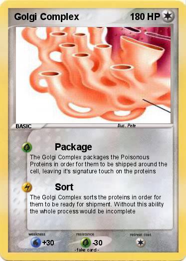 Pokemon Golgi Complex