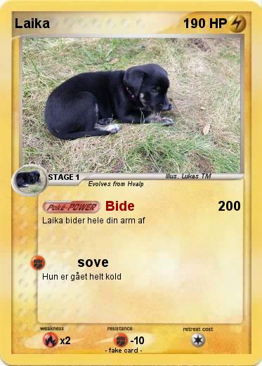 Pokemon Laika