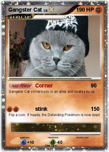 Pokemon Gangster Cat