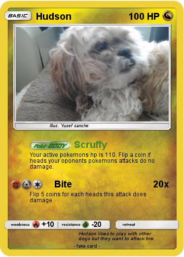 Pokemon Hudson