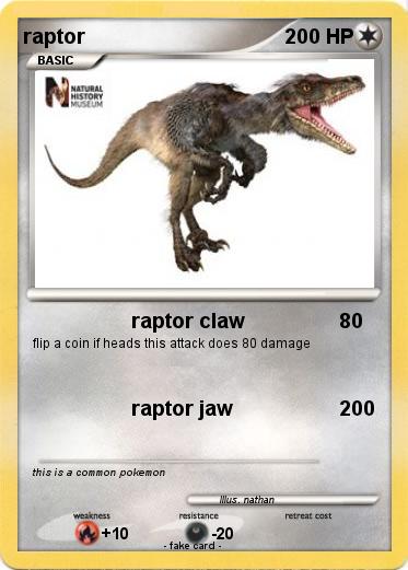 Pokemon raptor
