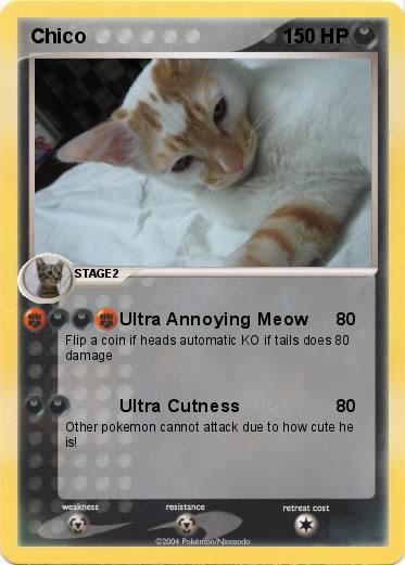 Pokemon Chico