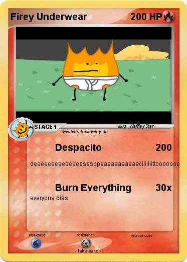 Pokemon Firey Underwear