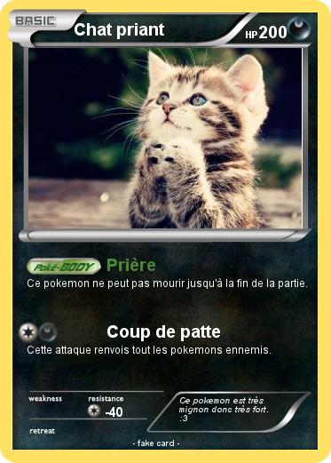 Pokemon Chat priant