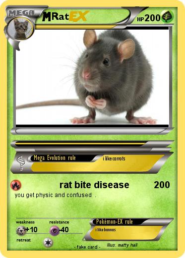 Pokemon Rat