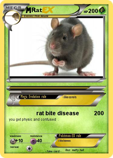 Pokemon Rat