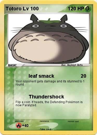 Pokemon Totoro Lv 100