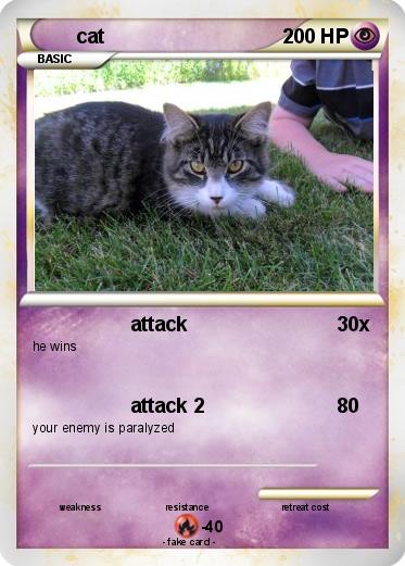 Pokemon cat