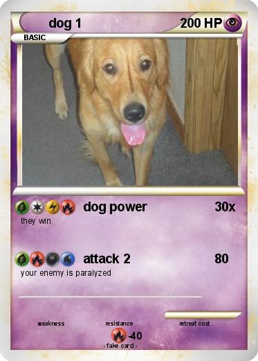 Pokemon dog 1