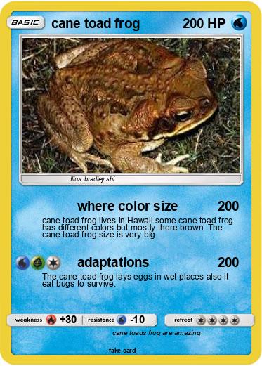 Pokemon cane toad frog