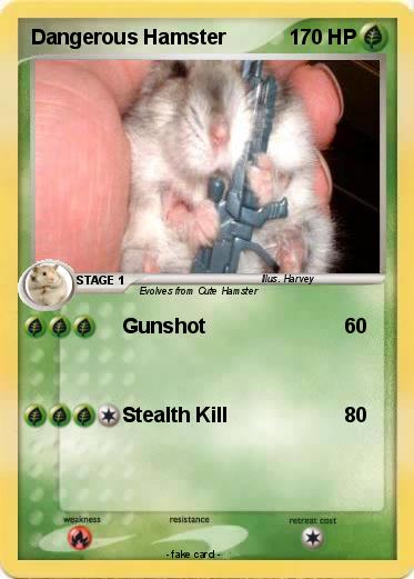 Pokemon Dangerous Hamster