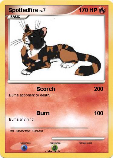 Pokemon Spottedfire