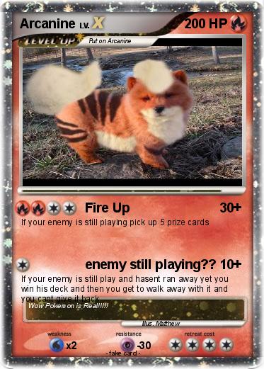 Pokemon Arcanine