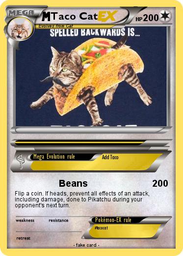 Pokemon Taco Cat