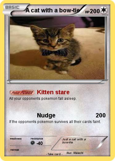 Pokemon A cat with a bow-tie