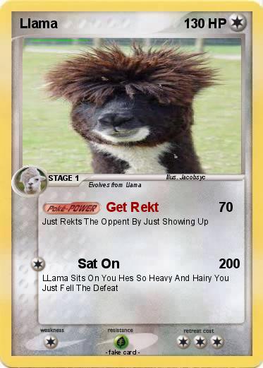 Pokemon Llama