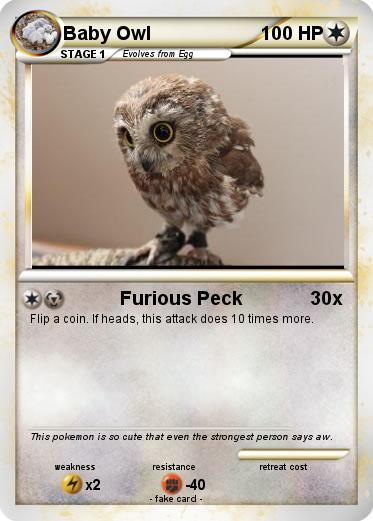 Pokemon Baby Owl